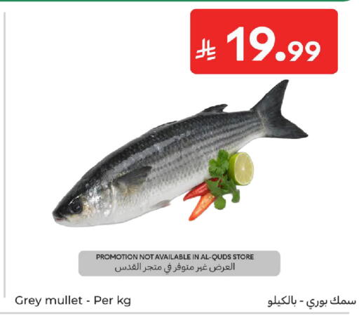 available at Carrefour in KSA, Saudi Arabia, Saudi - Buraidah
