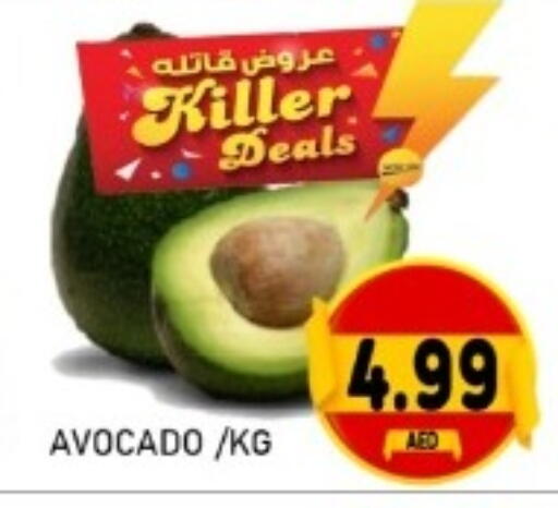 Avocado available at GREEN GIFT DEPARTMENT STORE in UAE - Abu Dhabi