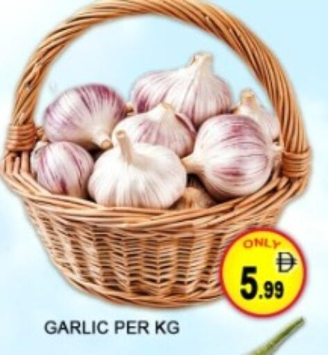 Garlic available at Green Gift Department Store in UAE - Dubai