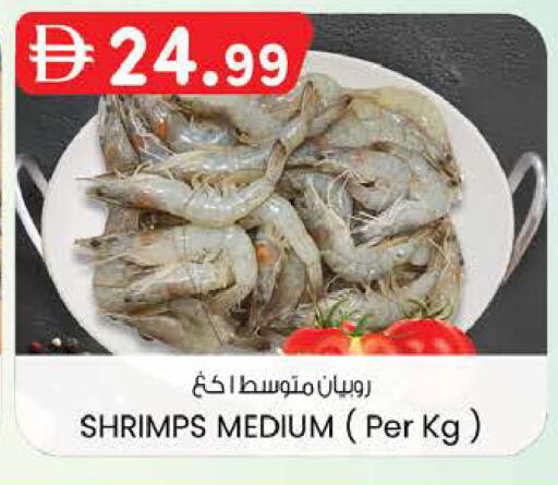 available at صفا هايبر in الإمارات العربية المتحدة , الامارات - ٱلْعَيْن‎