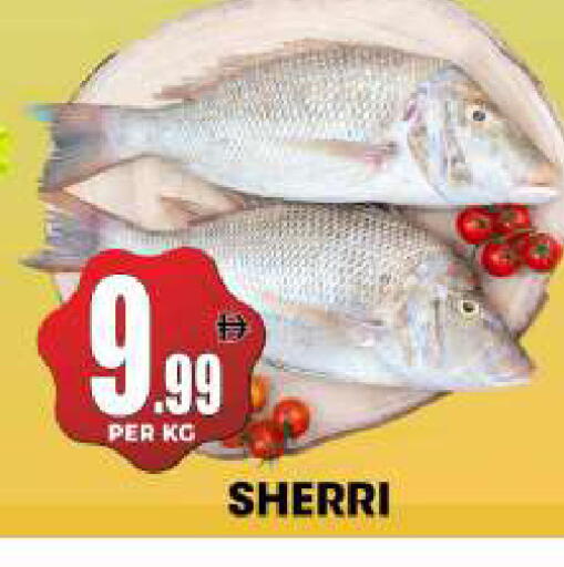 available at مركز الخصومات سنترو in الإمارات العربية المتحدة , الامارات - دبي