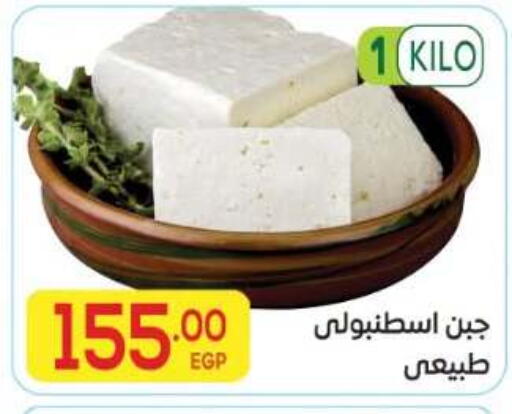 available at المحلاوي ماركت in Egypt - القاهرة
