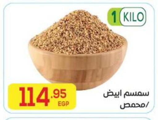 available at El Mahallawy Market  in Egypt - Cairo