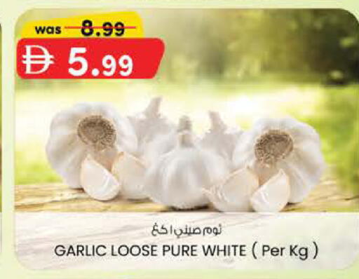 Garlic available at الصفا in الإمارات العربية المتحدة , الامارات - ٱلْعَيْن‎