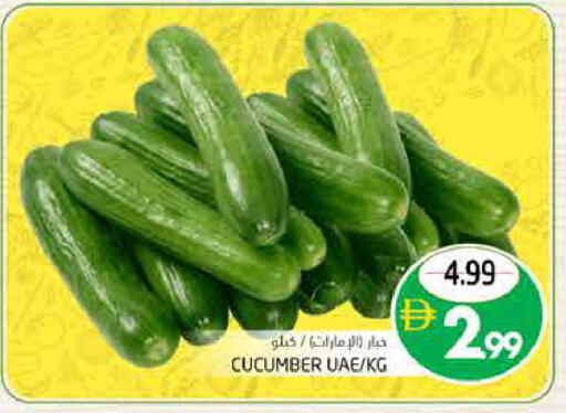 Cucumber available at Pasons Hypermarket in UAE - Fujairah