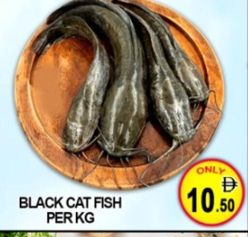 available at Green Gift Department Store in UAE - Dubai
