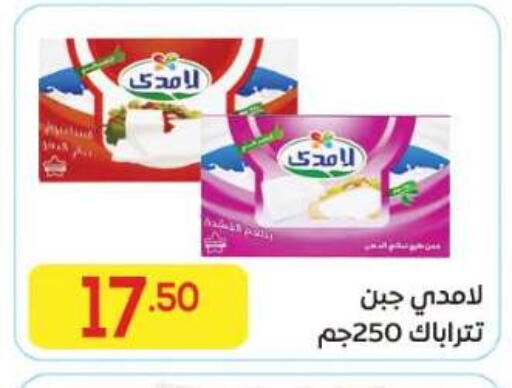 available at El Mahallawy Market  in Egypt - Cairo
