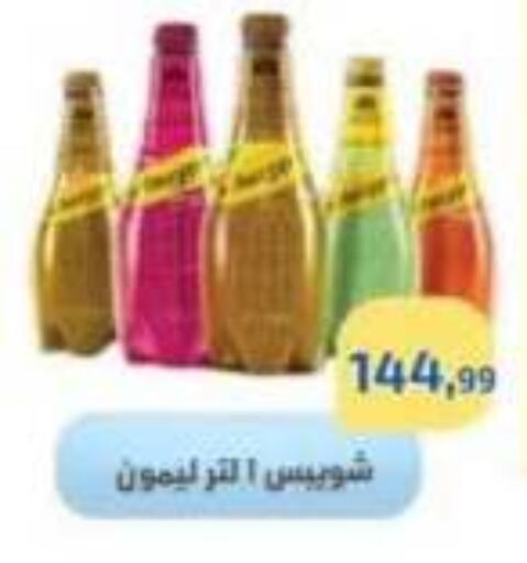 available at مؤسسة ايهاب البرنس in Egypt - القاهرة