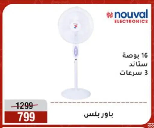 available at المرشدي in Egypt - القاهرة