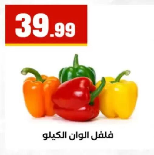 available at مارت فيل in Egypt - القاهرة