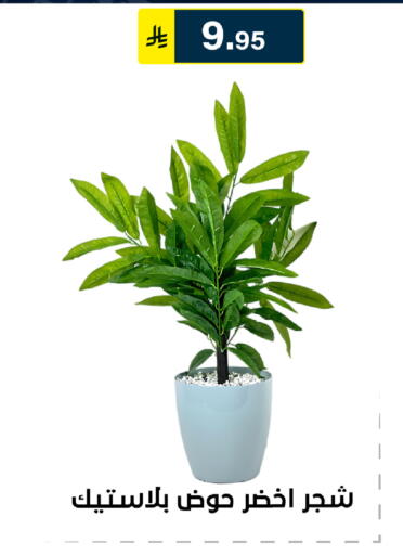 available at Al Hussain Top Up in KSA, Saudi Arabia, Saudi - Riyadh