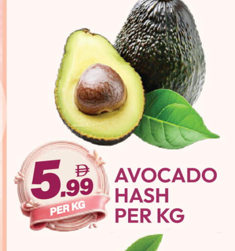 Avocado available at دريم لاند in الإمارات العربية المتحدة , الامارات - دبي