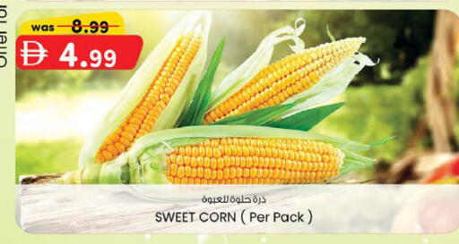 available at صفا هايبر in الإمارات العربية المتحدة , الامارات - ٱلْعَيْن‎