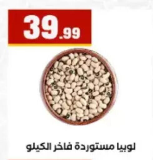 available at مارت فيل in Egypt - القاهرة