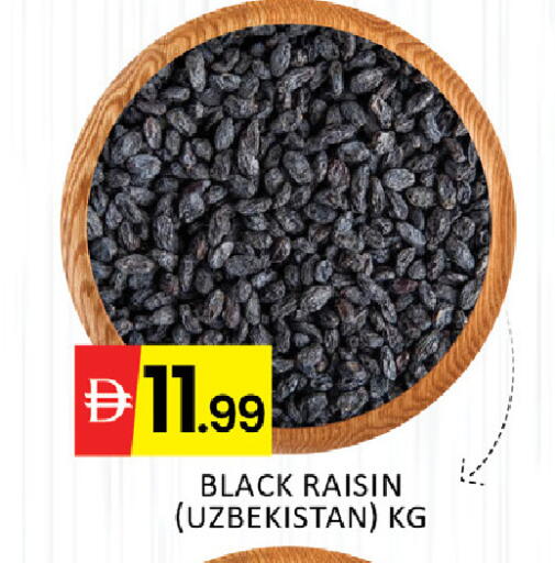 available at المدينة in الإمارات العربية المتحدة , الامارات - رَأْس ٱلْخَيْمَة