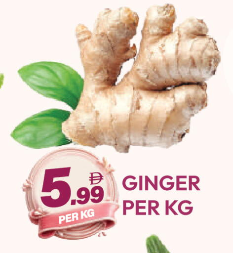 Ginger available at دريم لاند in الإمارات العربية المتحدة , الامارات - دبي