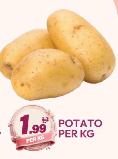 Potato available at دريم لاند in الإمارات العربية المتحدة , الامارات - دبي