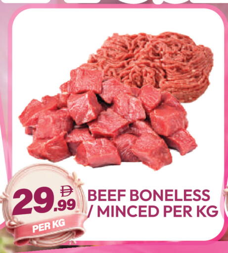 available at دريم لاند in الإمارات العربية المتحدة , الامارات - دبي