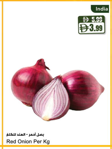 Onion from India available at Almaya Supermarkets in UAE - Dubai