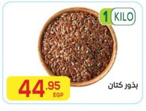 available at El Mahallawy Market  in Egypt - Cairo