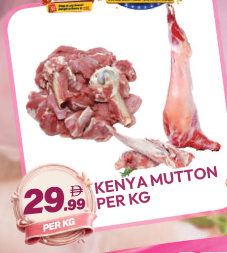 available at دريم لاند in الإمارات العربية المتحدة , الامارات - دبي