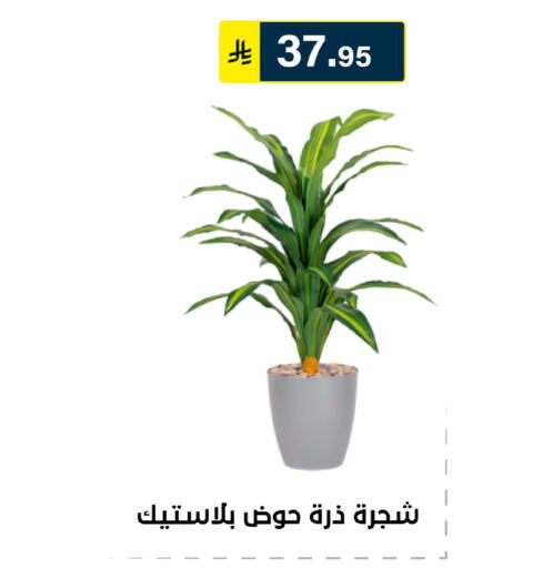 available at Al Hussain Top Up in KSA, Saudi Arabia, Saudi - Riyadh
