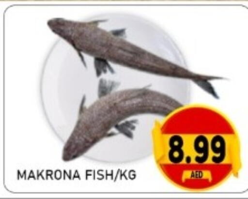 available at GREEN GIFT DEPARTMENT STORE in UAE - Abu Dhabi