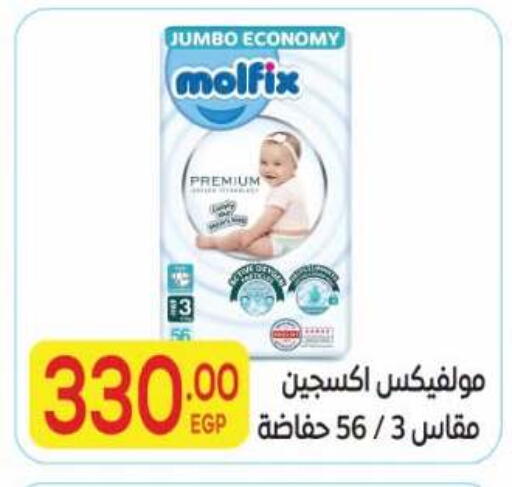 available at El Mahallawy Market  in Egypt - Cairo
