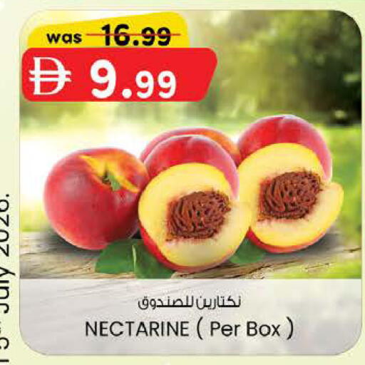 Nectarine available at K M Trading  in UAE - Abu Dhabi