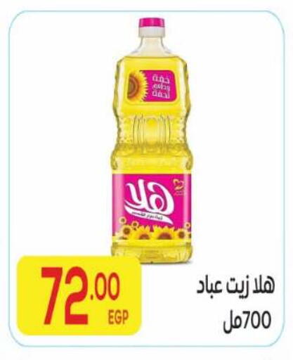 available at El Mahallawy Market  in Egypt - Cairo