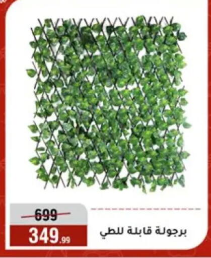 available at المرشدي in Egypt - القاهرة