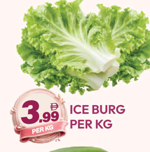 available at دريم لاند in الإمارات العربية المتحدة , الامارات - دبي