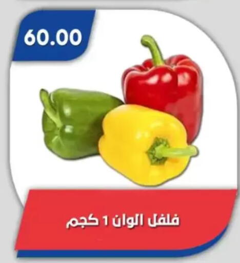 available at Bassem Market in Egypt - Cairo