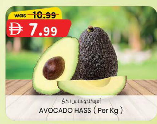 Avocado available at K M Trading  in UAE - Fujairah