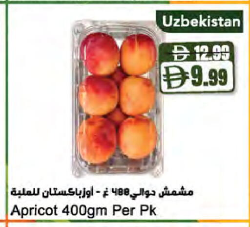 Apricot available at Almaya Supermarkets in UAE - Dubai
