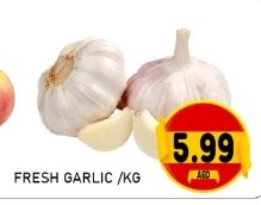 Garlic available at GREEN GIFT DEPARTMENT STORE in UAE - Abu Dhabi