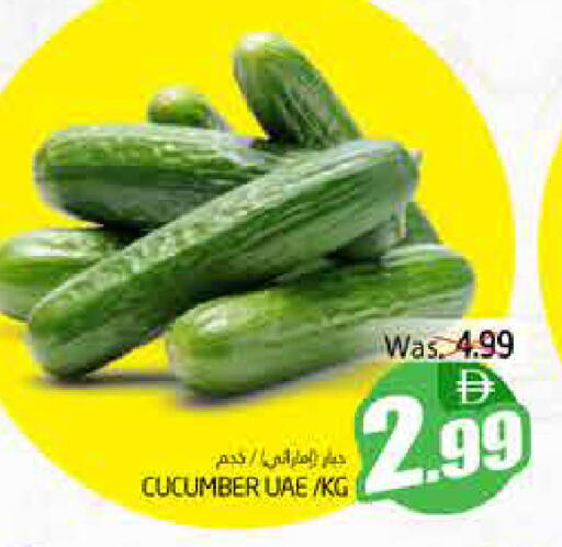 Cucumber available at Pasons Hypermarket in UAE - Fujairah