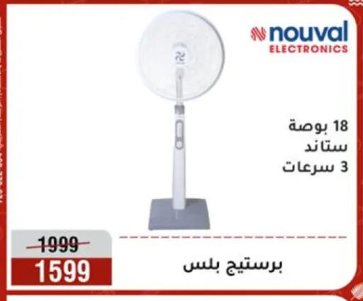 available at المرشدي in Egypt - القاهرة