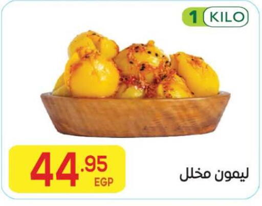 available at El Mahallawy Market  in Egypt - Cairo