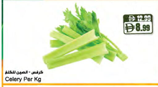 Celery available at المايا سوبرماركت in الإمارات العربية المتحدة , الامارات - رَأْس ٱلْخَيْمَة