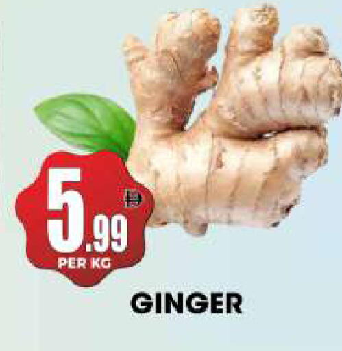 Ginger available at مركز الخصومات سنترو in الإمارات العربية المتحدة , الامارات - دبي