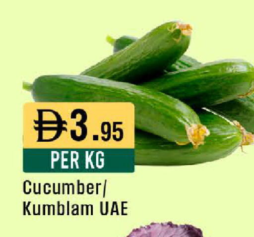 Cucumber available at ويست زون سوبرماركت in الإمارات العربية المتحدة , الامارات - أبو ظبي