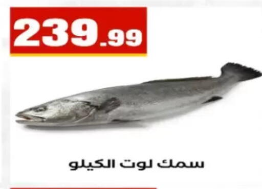 available at مارت فيل in Egypt - القاهرة