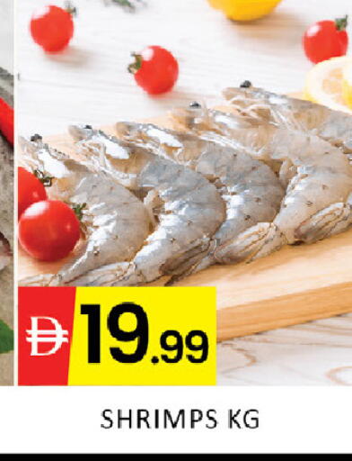 available at المدينة in الإمارات العربية المتحدة , الامارات - رَأْس ٱلْخَيْمَة