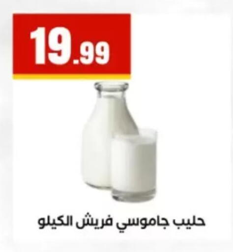 available at مارت فيل in Egypt - القاهرة