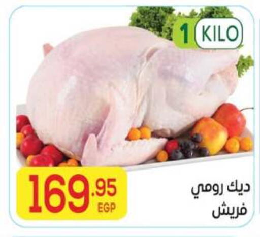 available at المحلاوي ماركت in Egypt - القاهرة