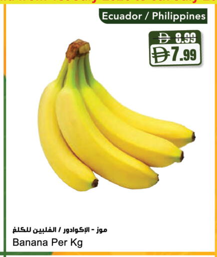 Banana from Ecuador Philippines available at Almaya Supermarkets in UAE - Dubai
