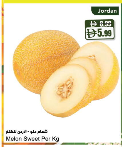 Melon from Jordan available at Almaya Supermarkets in UAE - Dubai