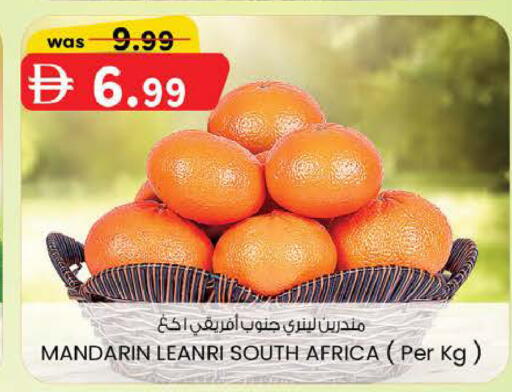 Mandarin from South Africa available at ك. إم. هايبرماركت in الإمارات العربية المتحدة , الامارات - ٱلْعَيْن‎