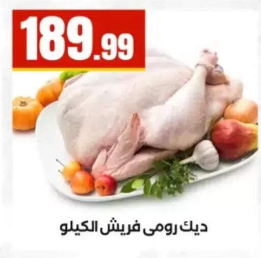 available at المحلاوي ستورز in Egypt - القاهرة